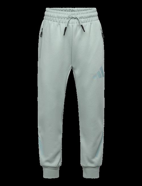 adidas Sportswear | J Z.n.e. Pt | 140