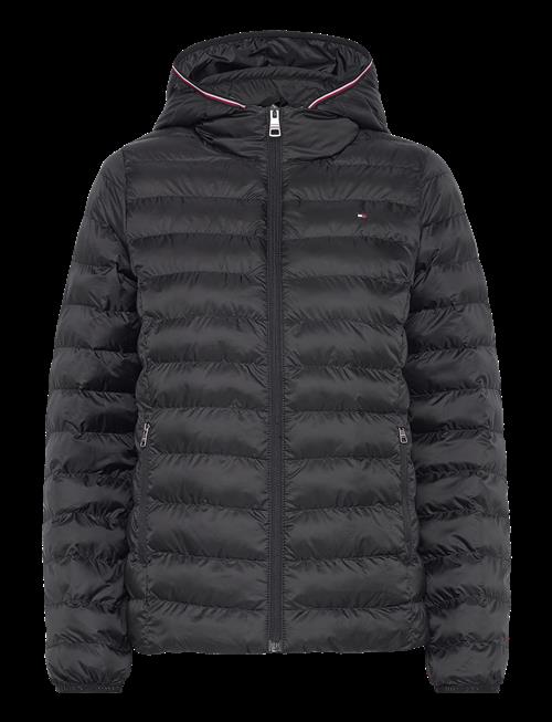 Tommy Hilfiger | Lw Padded Global Stripe Jacket | XXXL