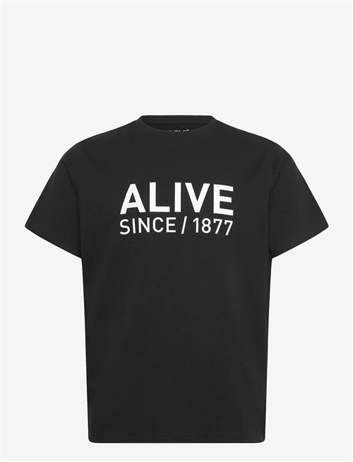 Helly Hansen | Core Graphic T 2.0 | M