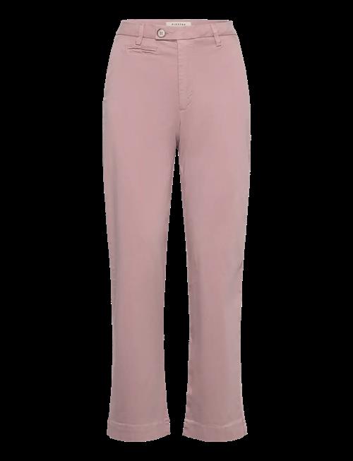 Pieszak | Pd-Anika Support Weekend Chino | 27 x 32