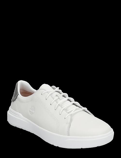 Timberland | Seneca Bay Low Lace Up Sneaker Blanc De Blanc | 42