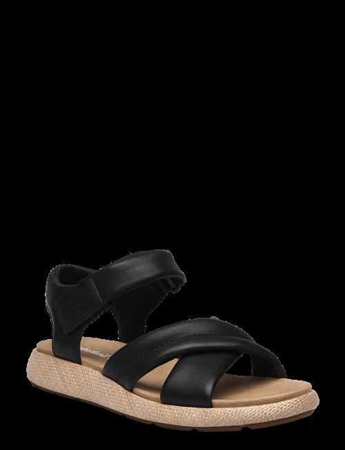 Timberland | Backstrap Sandal | 41