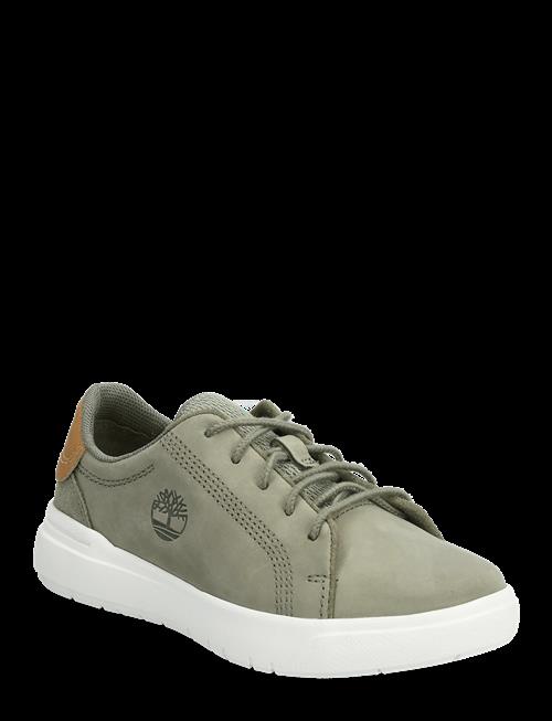 Timberland | Seneca Bay Low Lace Up Sneaker Deep Lichen Green | 32