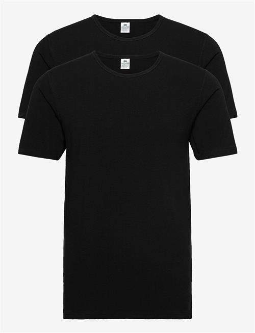 Dovre | Dovre T-Shirt 2-Pack Gots | XXL