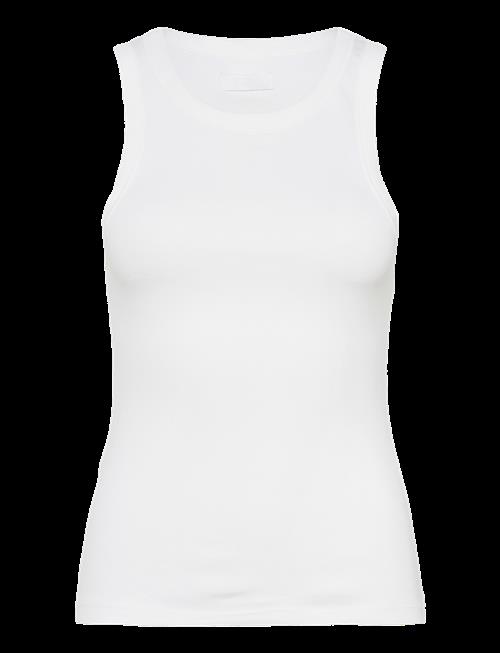 2NDDAY | 2Nd Purity Tt - Daily Cotton Rib | XXS