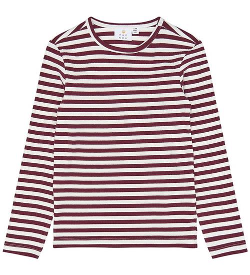 The New Bluse - TnMoore - Rib - Gardenia Striped