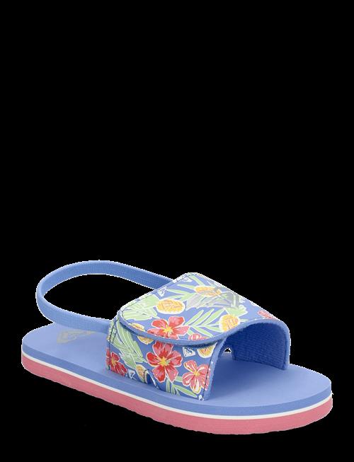 Roxy | Tw Finn | 24