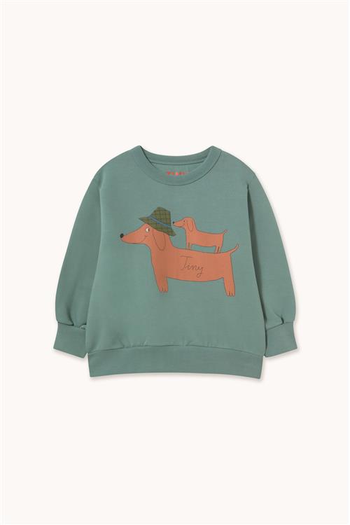 Tinycottons Two Dogs Graphic Sweatshirt Teal-6y  Blå  6 år  Drenge, Piger