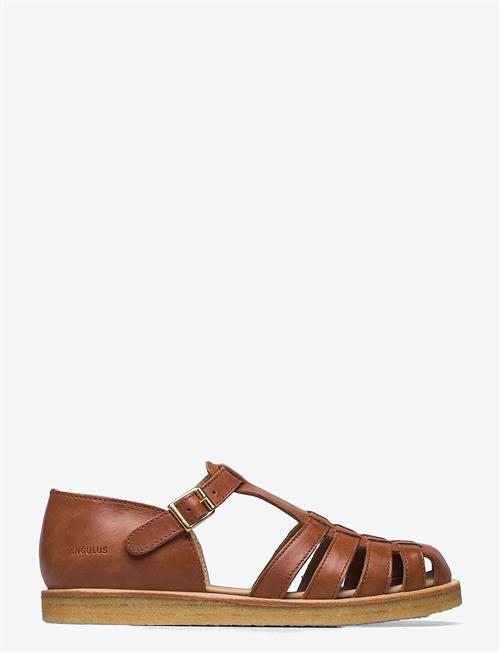 ANGULUS | Sandals - Flat  - Closed Toe - Op | 39.5
