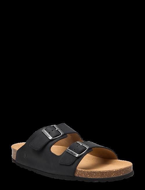 Axelda | Charlie Wide | 43