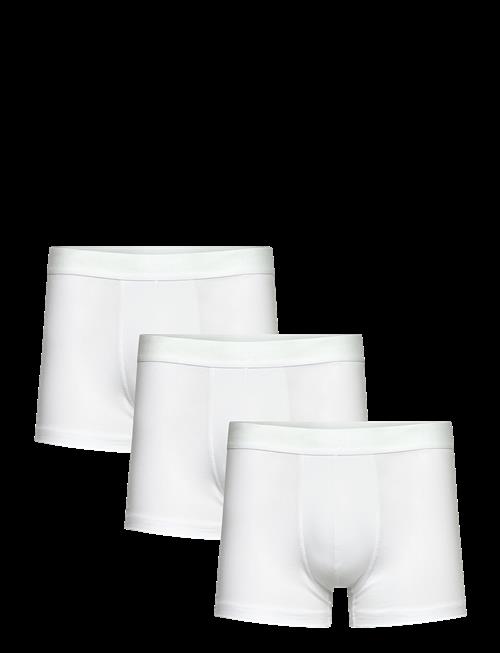 Bread & Boxers | 3-Pack Trunk | XL