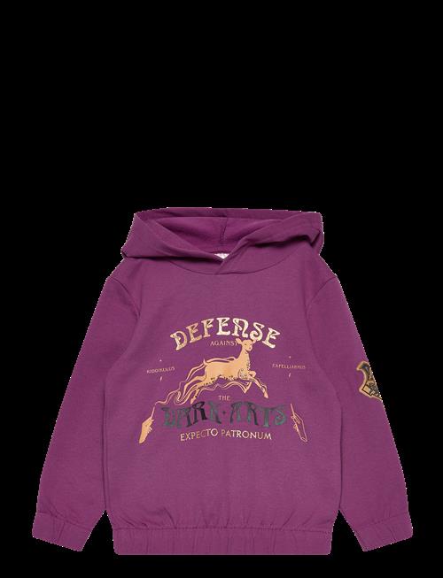 Harry Potter | Sweats | 98