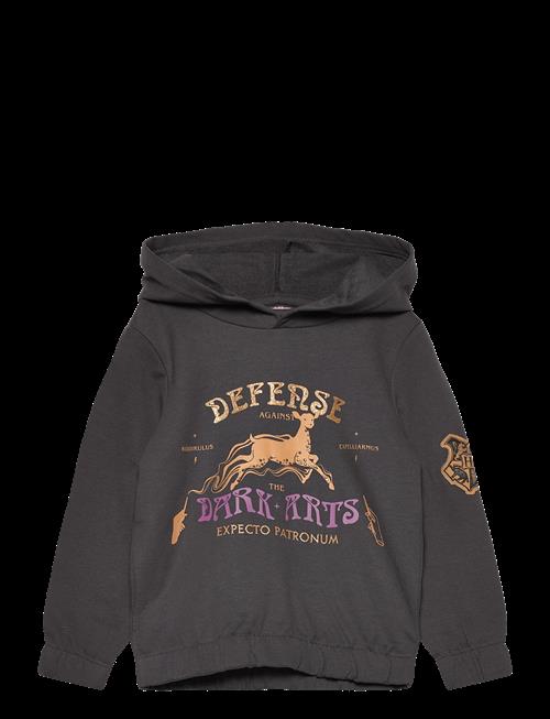 Harry Potter | Sweats | 104