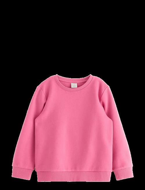 Lindex | Sweatshirts Solid Basic | 110