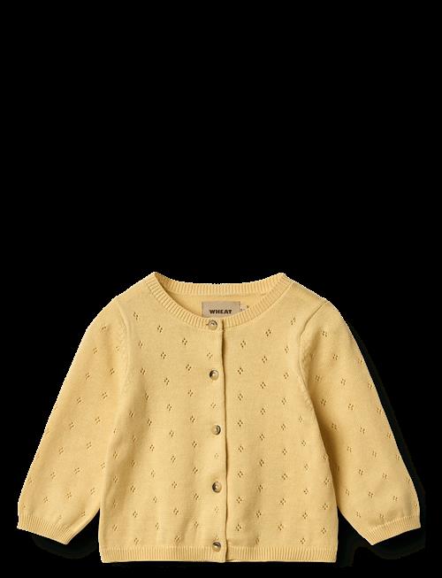 Wheat | Knit Cardigan Maia | 80