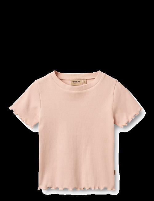 Wheat | Rib T-Shirt S/S Alicia | 98