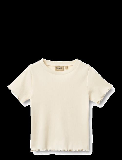 Wheat | Rib T-Shirt S/S Alicia | 98
