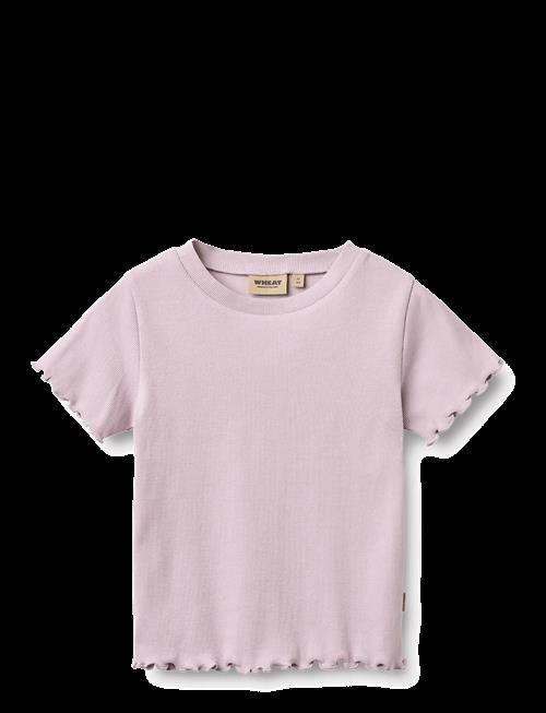 Wheat | Rib T-Shirt S/S Alicia | 152