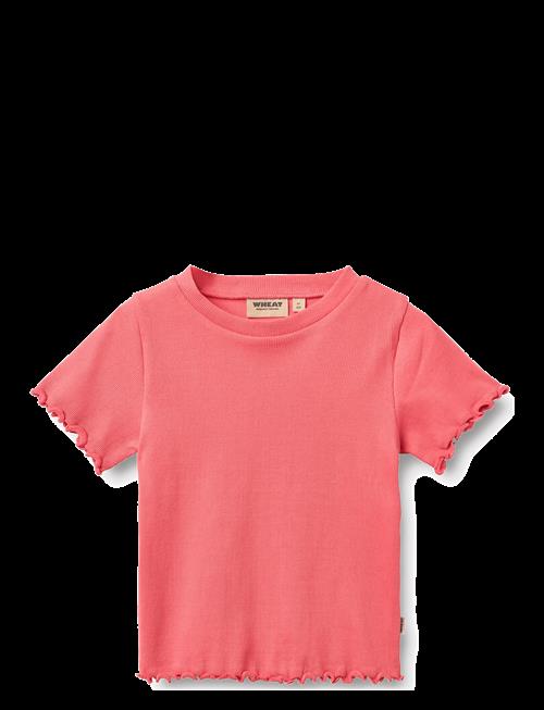 Wheat | Rib T-Shirt S/S Alicia | 122