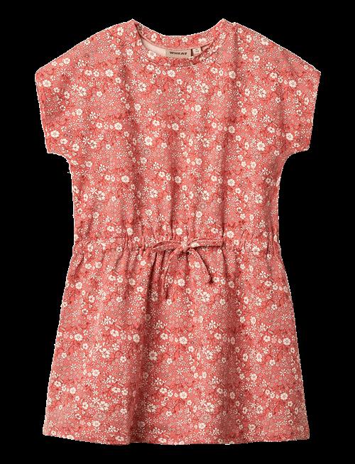 Wheat | Jersey Dress Maribel | 104