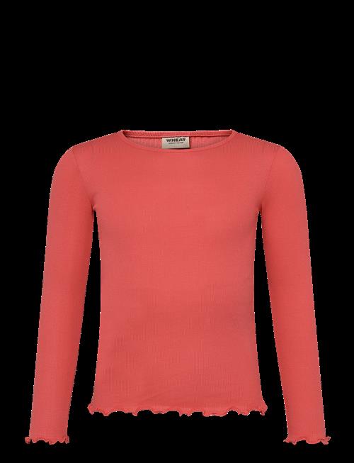 Wheat | T-Shirt L/S Ida | 122