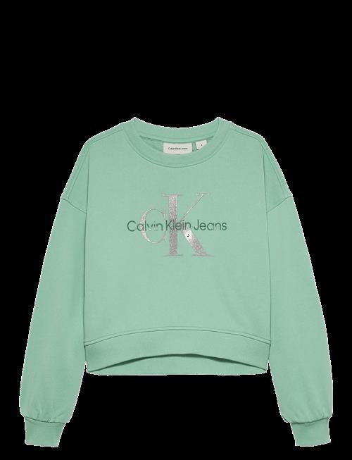 Calvin Klein | Glitter Monologo Cn Sweatshirt | 152