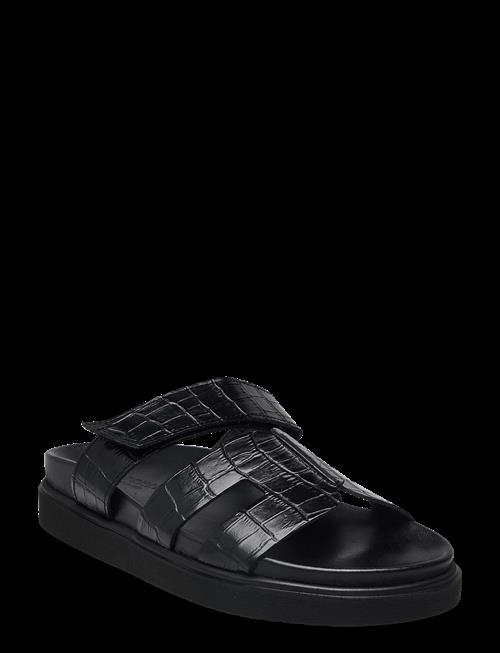 Pavement | Maru Croco | 41