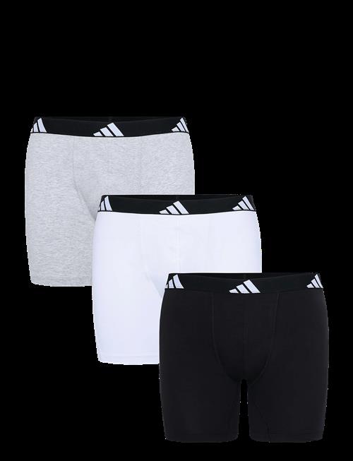 adidas Underwear | Shorts | M