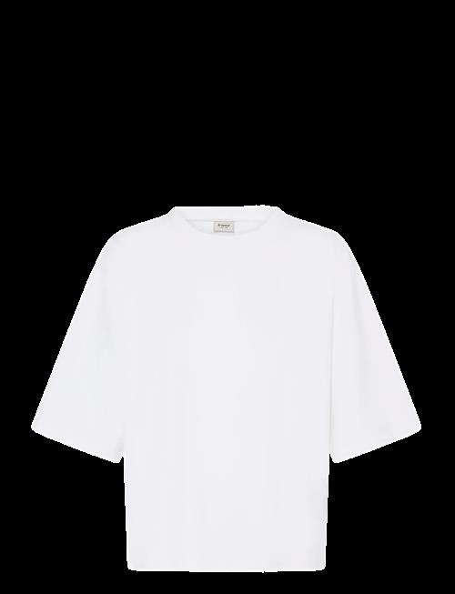 Fransa | Fraurora Pu 1 | L
