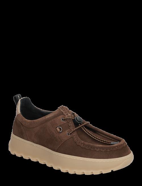 KLEMAN | Granite Vm | 44