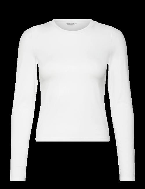 Organic Basics | Everyday Regular Long Sleeve Tee | XL