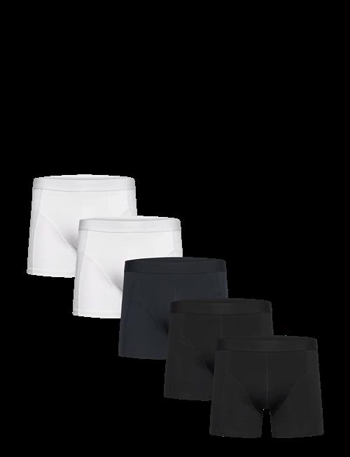 Shine Original | 5 Pack Tights | L