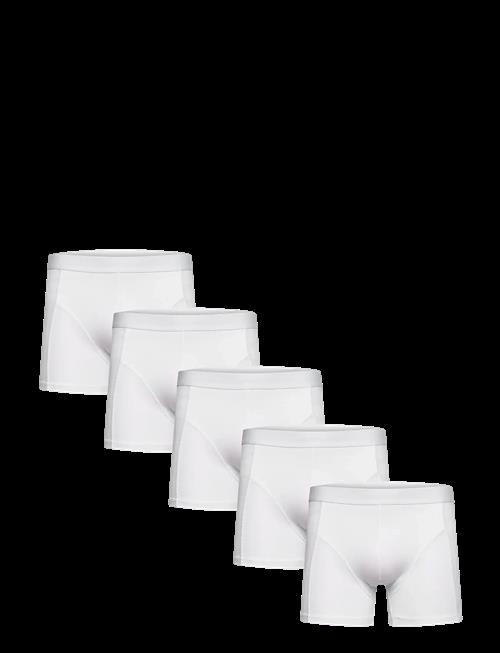Shine Original | 5 Pack Tights | L