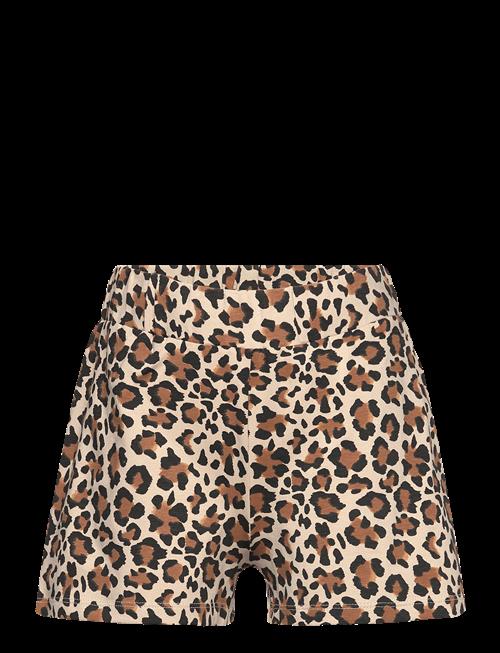 The New | Tnorella Shorts | 146/152