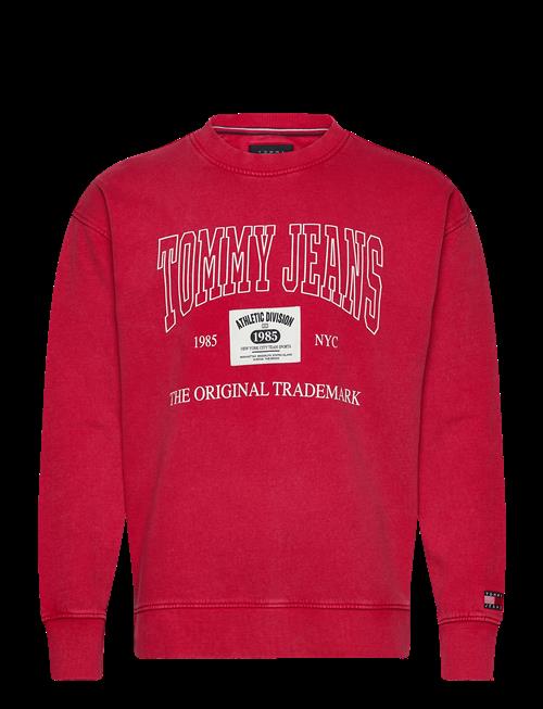 Tommy Jeans | Tjm Rlx Archive Crew Ext | XS