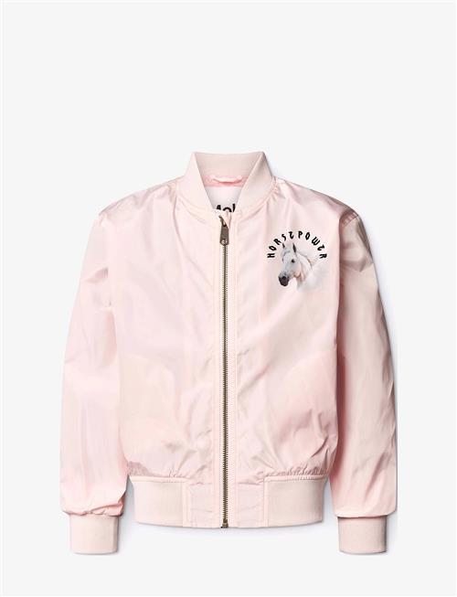 Molo | Haliva | 98