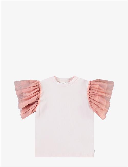 Molo | Robyn | 116