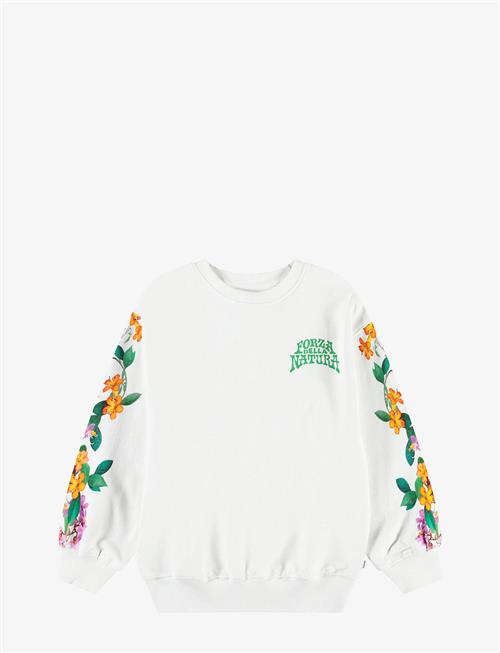 Molo | Monti | 92