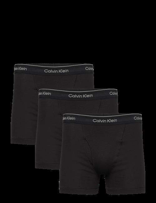 Calvin Klein | Boxer Brief 3 Pk | M