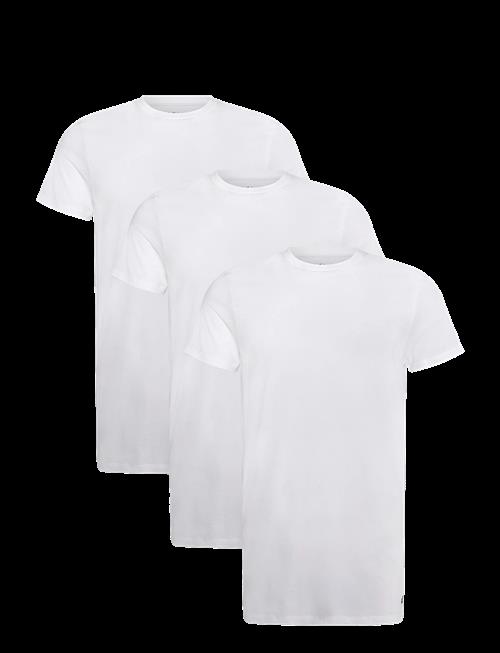 Calvin Klein | S/S Crew Neck 3Pk | L