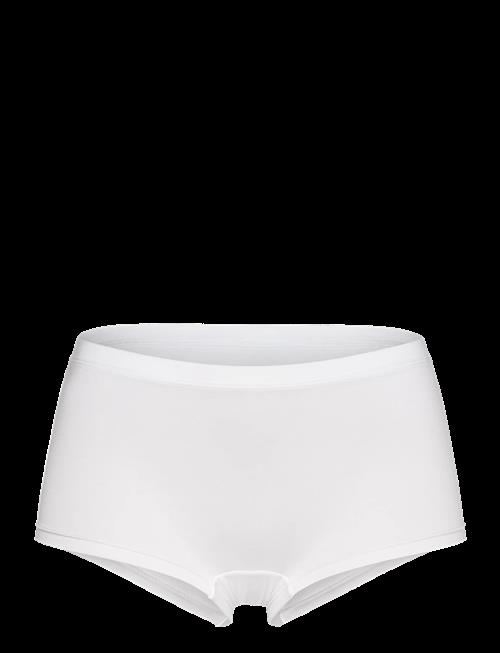 CCDK Copenhagen | Modal Shorts Brief | S