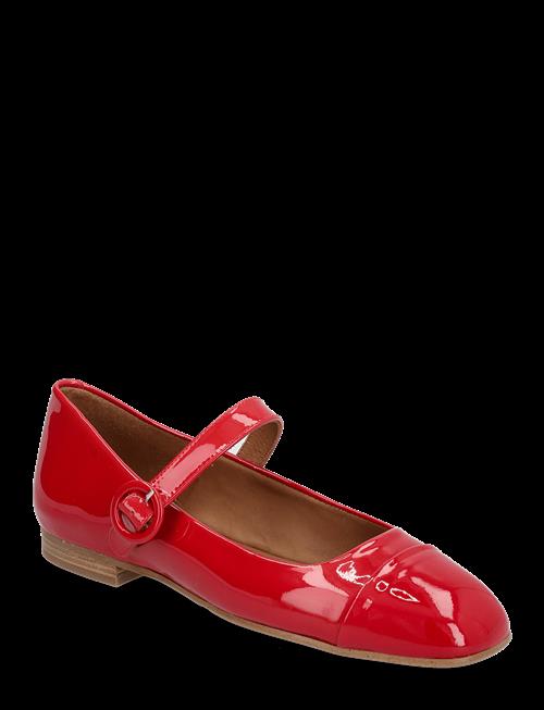 Billi Bi | Ballerina | 41