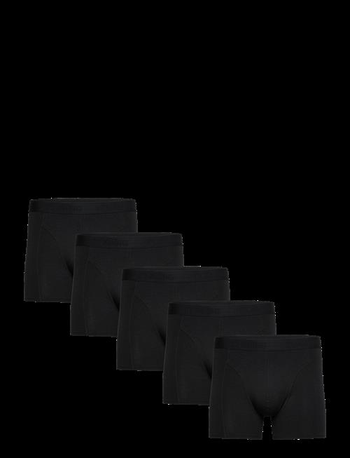 Claudio | Claudio 5-Pack Tights | XL