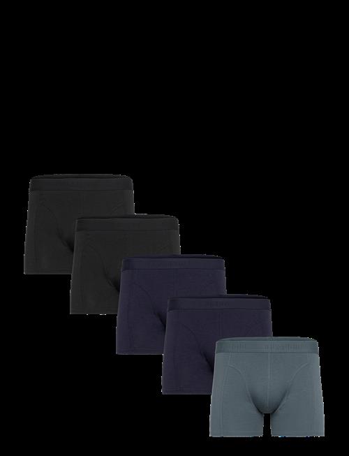 Claudio | Claudio 5-Pack Tights | XXXL