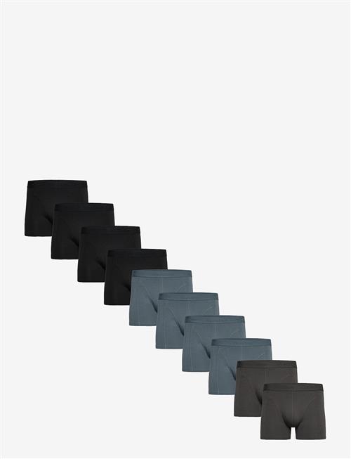 Claudio | Claudio 10-Pack Tights | XXL