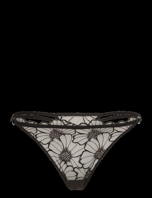 CHANTELLE | Lush Thong | 40