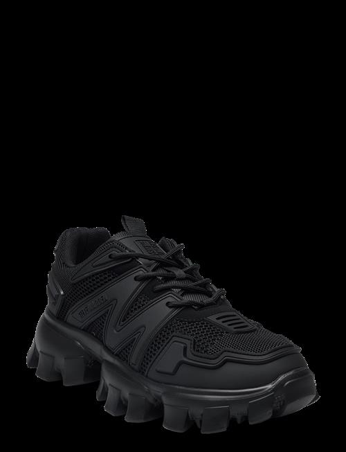 Steve Madden | Prive | 44