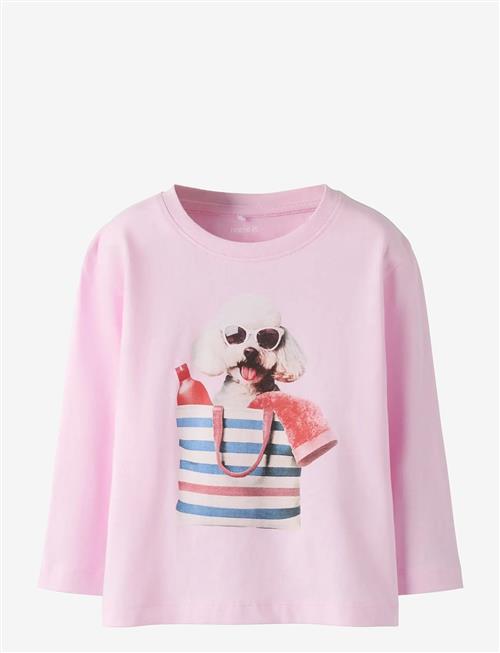 name it | Nmfvotea Ls Nreg Top | 86