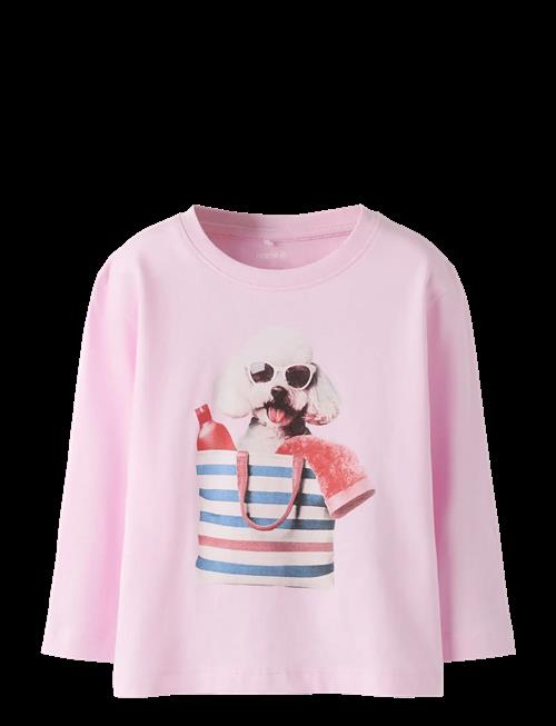 name it | Nmfvotea Ls Nreg Top | 110