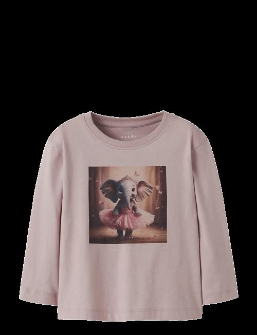 name it | Nmfvotea Ls Nreg Top | 98